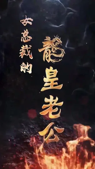 女总裁的龙皇老公