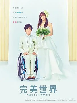 完美的世界2019
