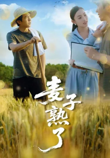 麦子熟了