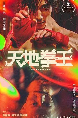 天地拳王国语