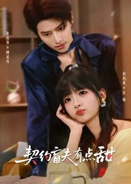 契约盲夫有点甜