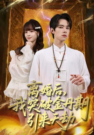 离婚后，我突破金丹期，引来天劫