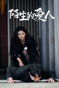陌生的爱人