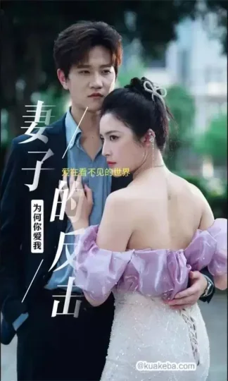 妻子的反击