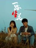 一路“生”花