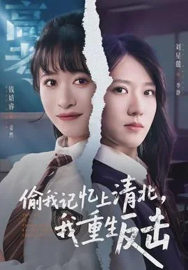 偷我记忆上清北，我重生反击
