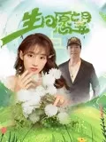 生日愿望