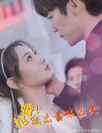抢婚！陆总蓄谋已久