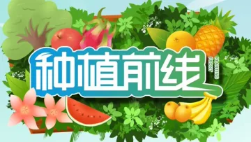 种植前线2026