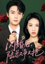闪婚后陆总又争又抢