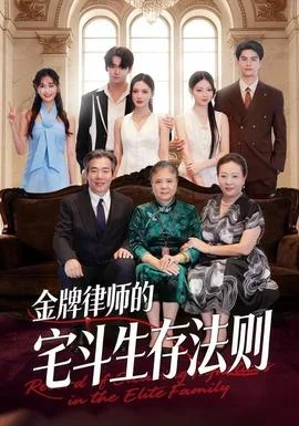 金牌律师的宅斗生存法则