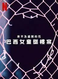 来不及盛开的花:巴西女童坠楼案