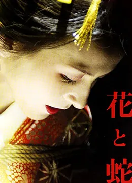 花与蛇2004