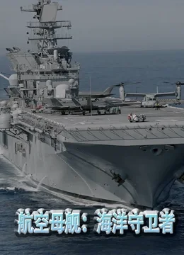航空母舰：海洋守卫者