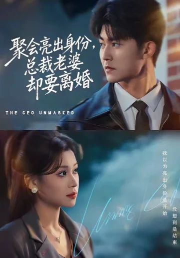 聚会亮出身份，总裁老婆却要离婚