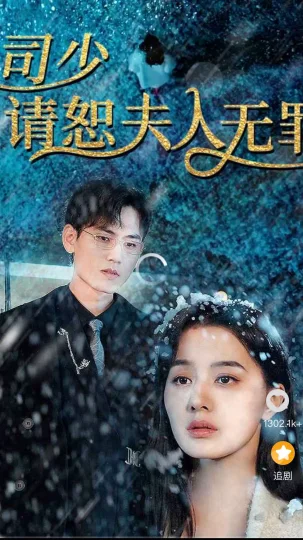 司少请恕夫人无罪