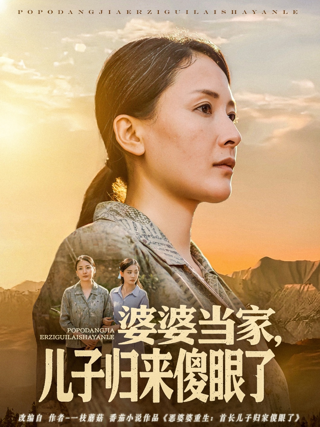 婆婆当家儿子归来傻眼了