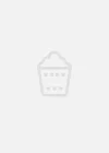 末日逃生
