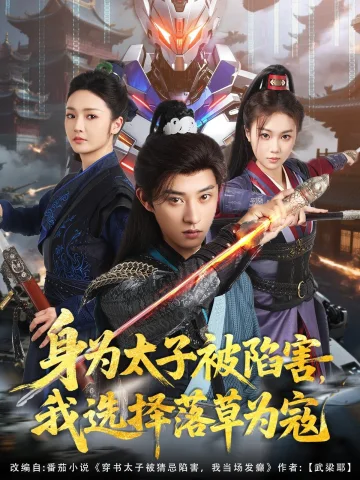 身为太子被陷害，我选择落草为寇