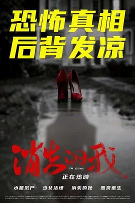 消失的我2026