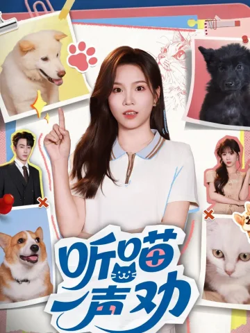 听喵一声劝