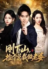 刚下山捡个总裁做老婆