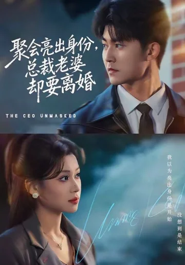 聚会亮出身份，总裁老婆却要离婚