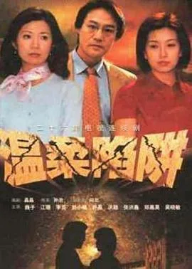 温柔陷阱2001