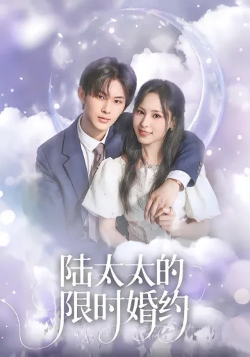 陆太太的限时婚约