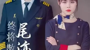 终将散去的尾迹云