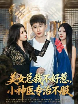 美女总裁不好惹，小神医专治不服