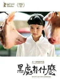 黑处有什么
