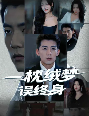 一枕绒梦误终身