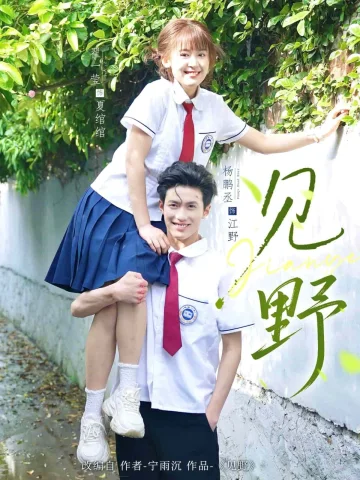 见野