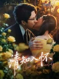 清知入怀