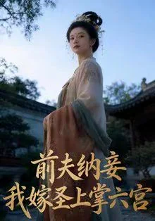 前夫纳妾，我嫁圣上掌六宫
