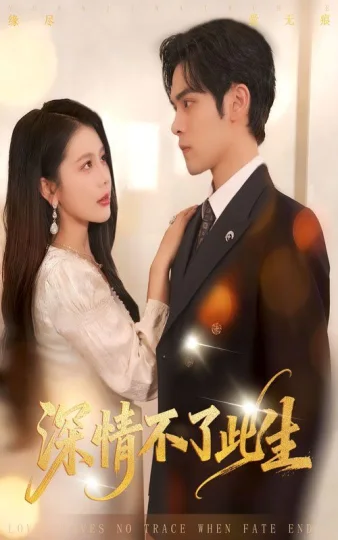 深情不了此生