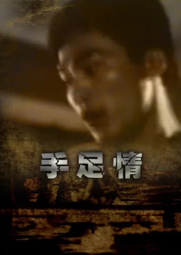手足情1988