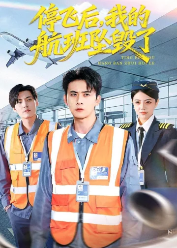 停飞后，我的航班坠毁了