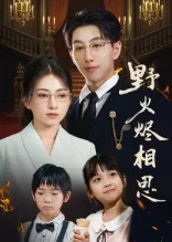 野火烬相思