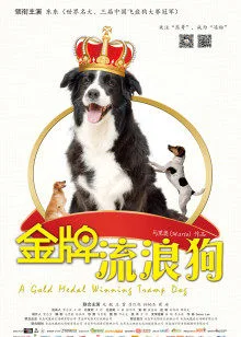 金牌流浪狗