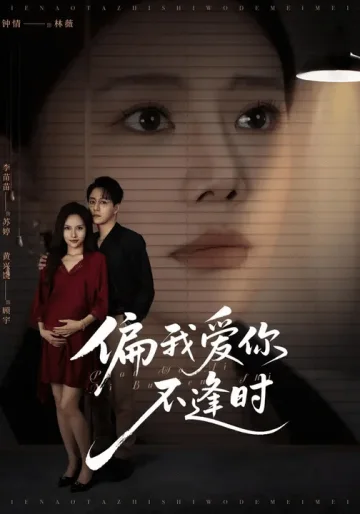 偏我爱你不逢时