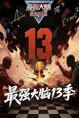 最强大脑第13季