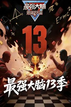 最强大脑第13季