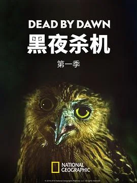 黑夜杀机第一季