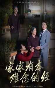 家家有本难念的经34集