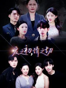 爱之初情之切