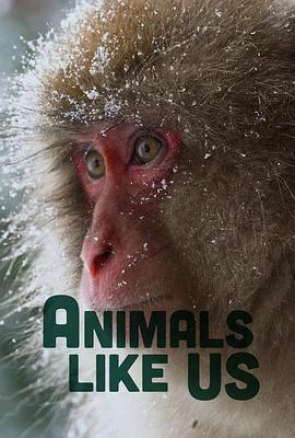 Animals Like