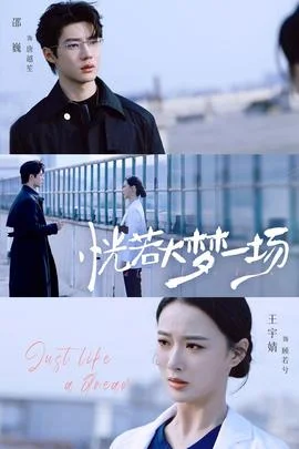 恍若大梦一场