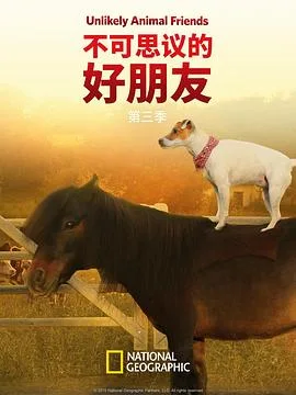 不可思议的好朋友第三季